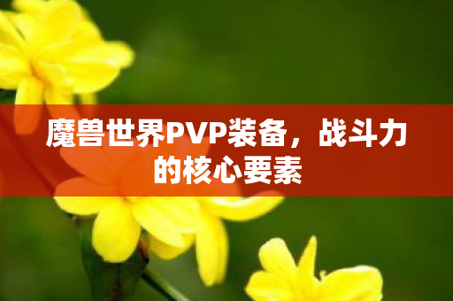 魔兽世界PVP装备，战斗力的核心要素