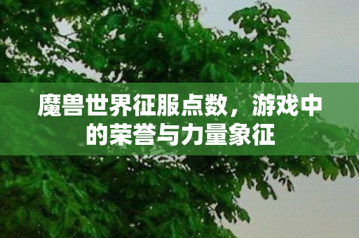 魔兽世界征服点数，游戏中的荣誉与力量象征