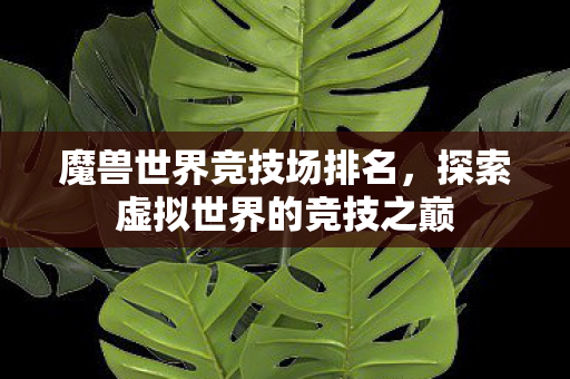 魔兽世界竞技场排名，探索虚拟世界的竞技之巅