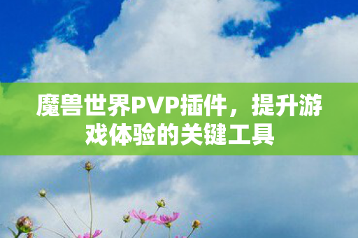 魔兽世界PVP插件，提升游戏体验的关键工具
