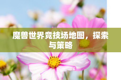 魔兽世界竞技场地图，探索与策略