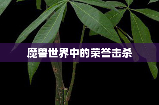 魔兽世界中的荣誉击杀 魔兽世界中的荣誉击杀