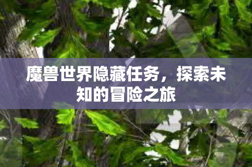 魔兽世界隐藏任务，探索未知的冒险之旅