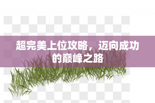 超完美上位攻略，迈向成功的巅峰之路