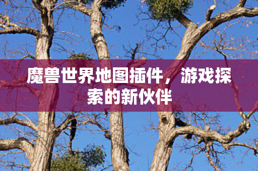 魔兽世界地图插件，游戏探索的新伙伴