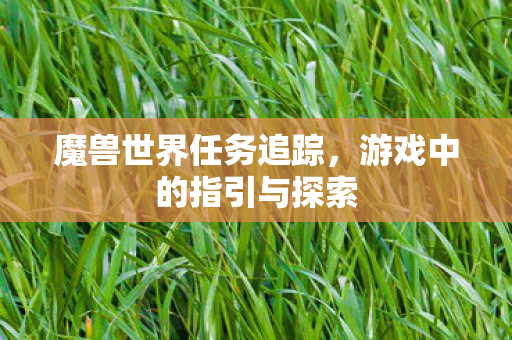 魔兽世界任务追踪，游戏中的指引与探索