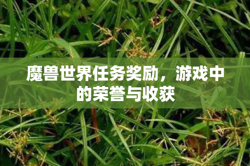 魔兽世界任务奖励，游戏中的荣誉与收获