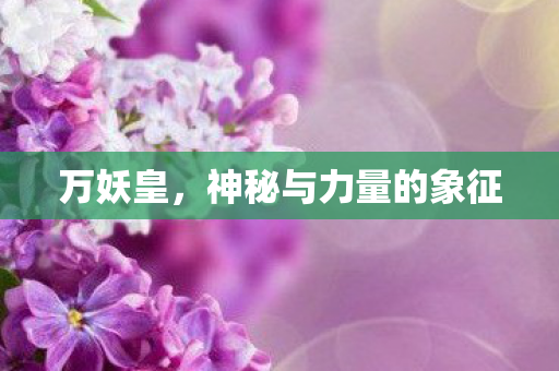 万妖皇,神秘与力量的象征 万妖皇,神秘与力量的象征