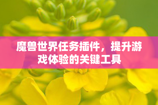 魔兽世界任务插件，提升游戏体验的关键工具