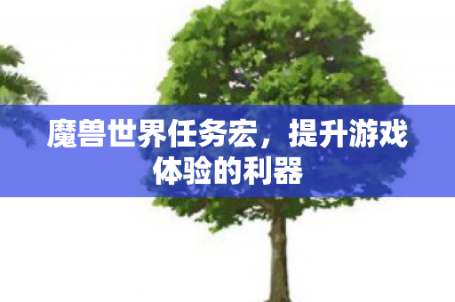 魔兽世界任务宏，提升游戏体验的利器