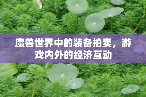 魔兽世界中的装备拍卖，游戏内外的经济互动