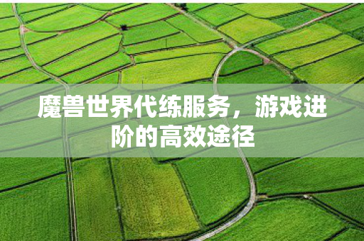 魔兽世界代练服务,游戏进阶的高效途径 魔兽世界代练服务,游戏进阶的高效途径