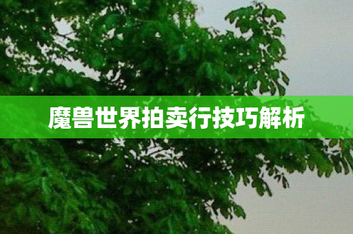 魔兽世界拍卖行技巧解析 魔兽世界拍卖行技巧解析