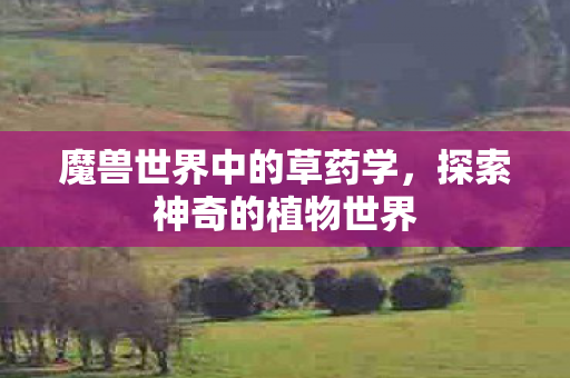 魔兽世界中的草药学，探索神奇的植物世界