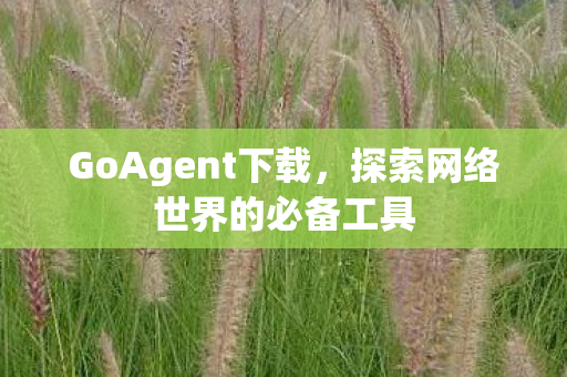 GoAgent下载，探索网络世界的必备工具