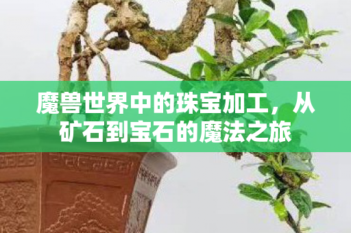魔兽世界中的珠宝加工，从矿石到宝石的魔法之旅