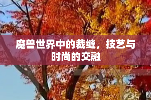 魔兽世界中的裁缝，技艺与时尚的交融