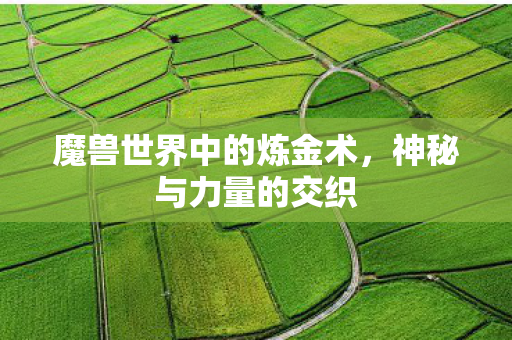魔兽世界中的炼金术，神秘与力量的交织