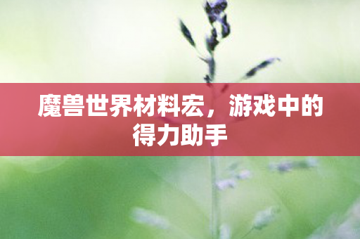 魔兽世界材料宏，游戏中的得力助手