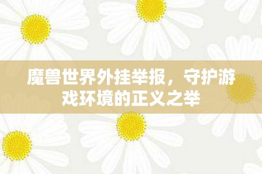 魔兽世界外挂举报，守护游戏环境的正义之举