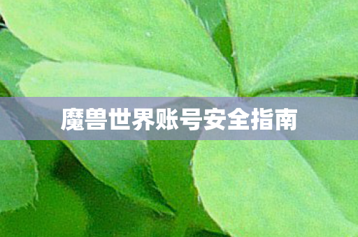 魔兽世界账号安全指南