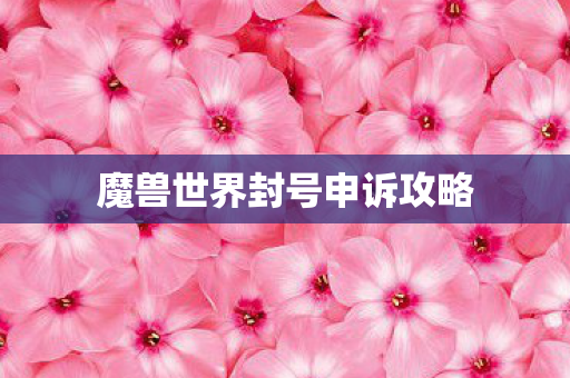 魔兽世界封号申诉攻略
