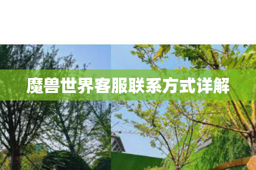 魔兽世界客服联系方式详解