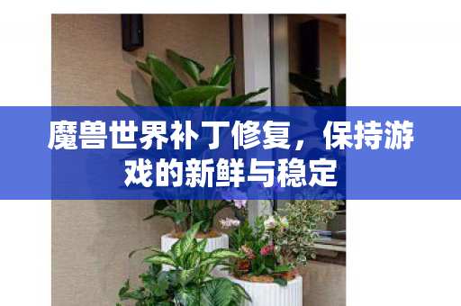 魔兽世界补丁修复，保持游戏的新鲜与稳定