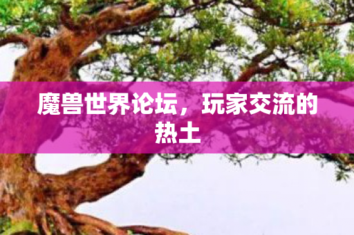 魔兽世界论坛，玩家交流的热土