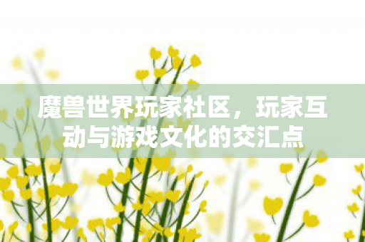 魔兽世界玩家社区，玩家互动与游戏文化的交汇点