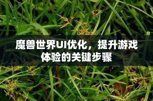 魔兽世界UI优化,提升游戏体验的关键步骤 魔兽世界UI优化,提升游戏体验的关键步骤