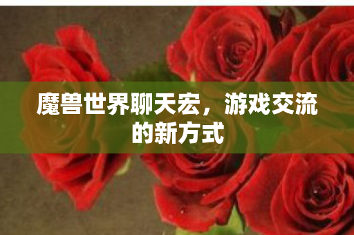 魔兽世界聊天宏，游戏交流的新方式