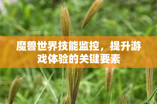 魔兽世界技能监控，提升游戏体验的关键要素