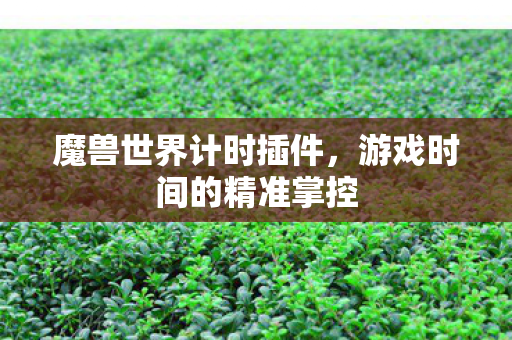 魔兽世界计时插件，游戏时间的精准掌控