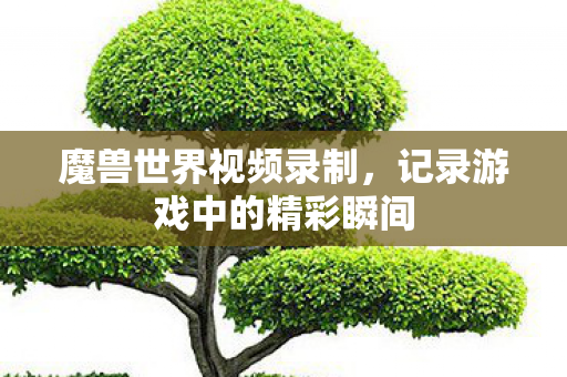 魔兽世界视频录制，记录游戏中的精彩瞬间