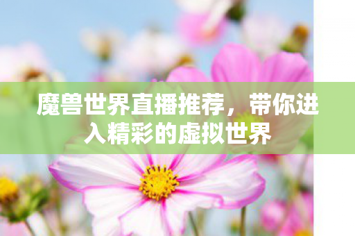 魔兽世界直播推荐，带你进入精彩的虚拟世界
