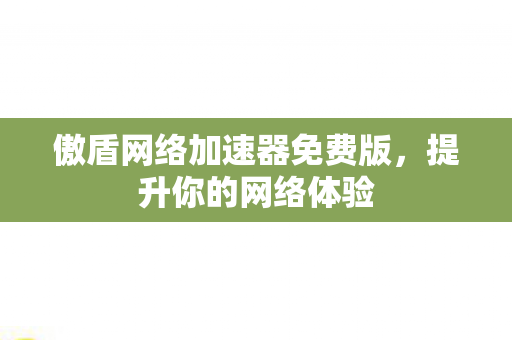 傲盾网络加速器免费版，提升你的网络体验