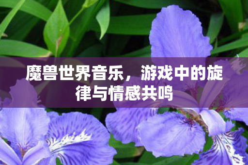 魔兽世界音乐，游戏中的旋律与情感共鸣