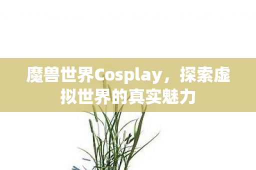 魔兽世界Cosplay，探索虚拟世界的真实魅力