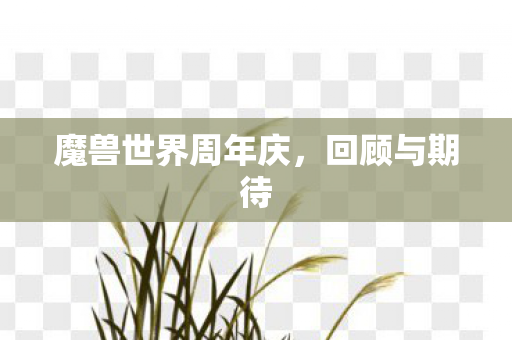 魔兽世界周年庆，回顾与期待