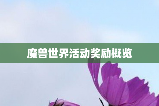 魔兽世界活动奖励概览