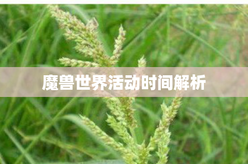 魔兽世界活动时间解析