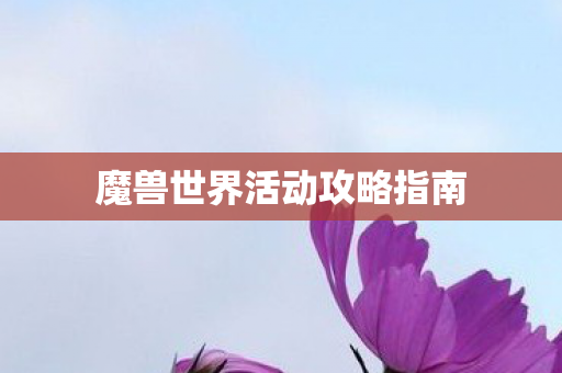 魔兽世界活动攻略指南