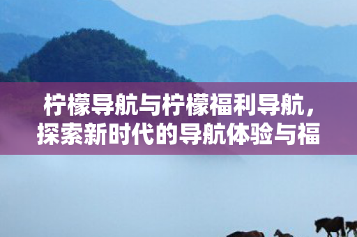柠檬导航与柠檬福利导航，探索新时代的导航体验与福利之旅
