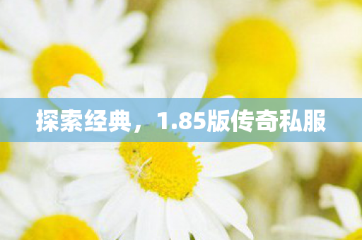 探索经典，1.85版传奇私服