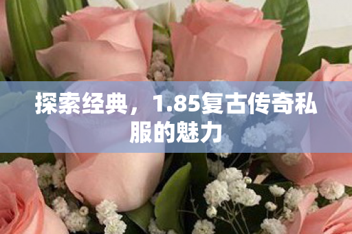 探索经典，1.85复古传奇私服的魅力