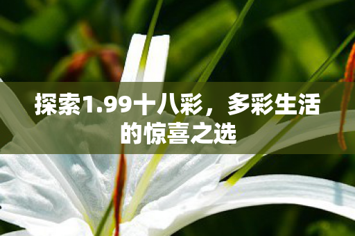 探索1.99十八彩，多彩生活的惊喜之选