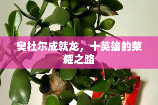 奥杜尔成就龙，十英雄的荣耀之路