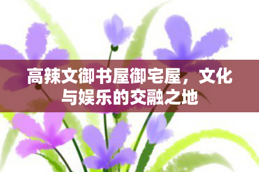 高辣文御书屋御宅屋，文化与娱乐的交融之地