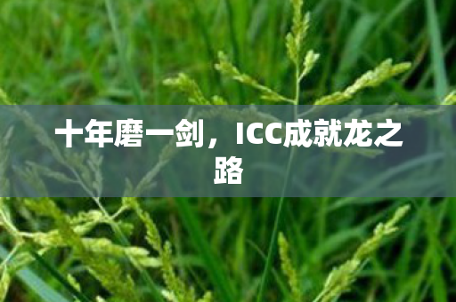 十年磨一剑，ICC成就龙之路